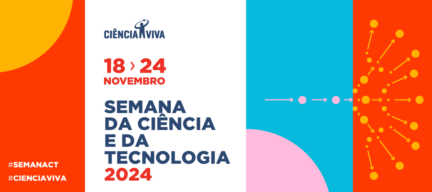 Captura_de_ecrã_2024-11-12_150312.png