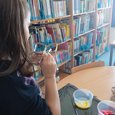 Img 20221128 110847 1